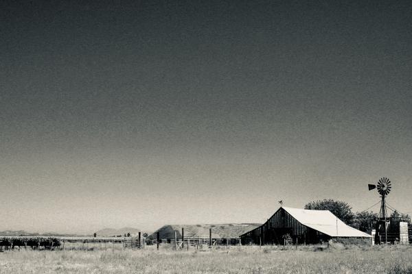 Farm, New Mexico, 2012